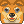 Dog Dog
